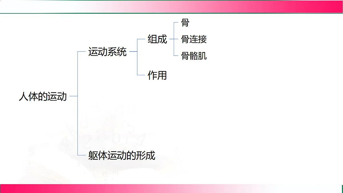17778477第3页