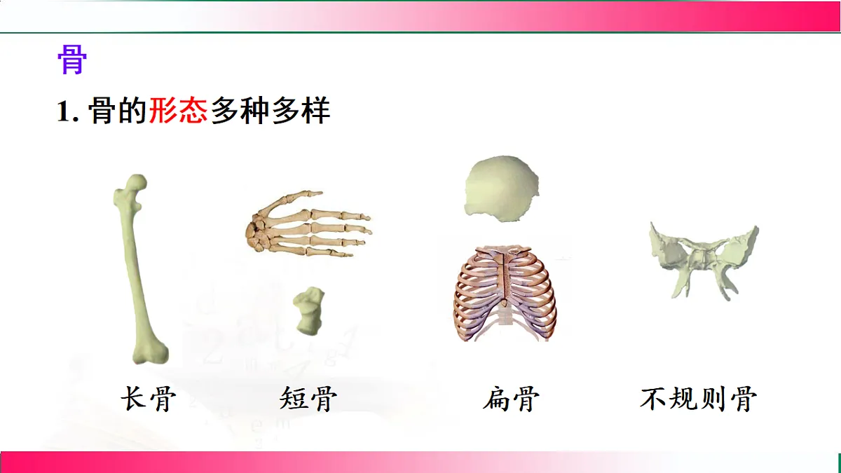 17778477第4页