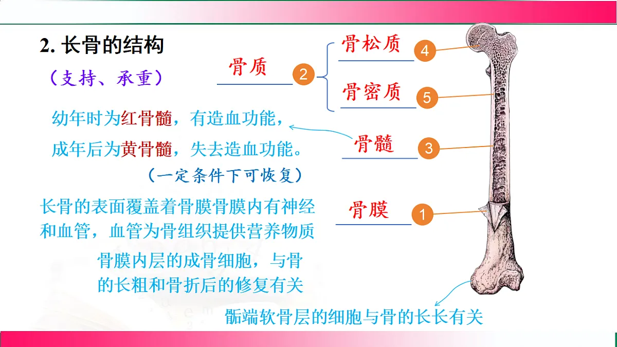 17778477第5页