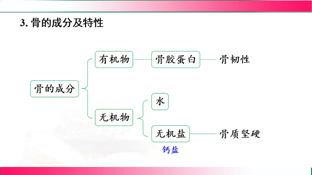 17778477第7页