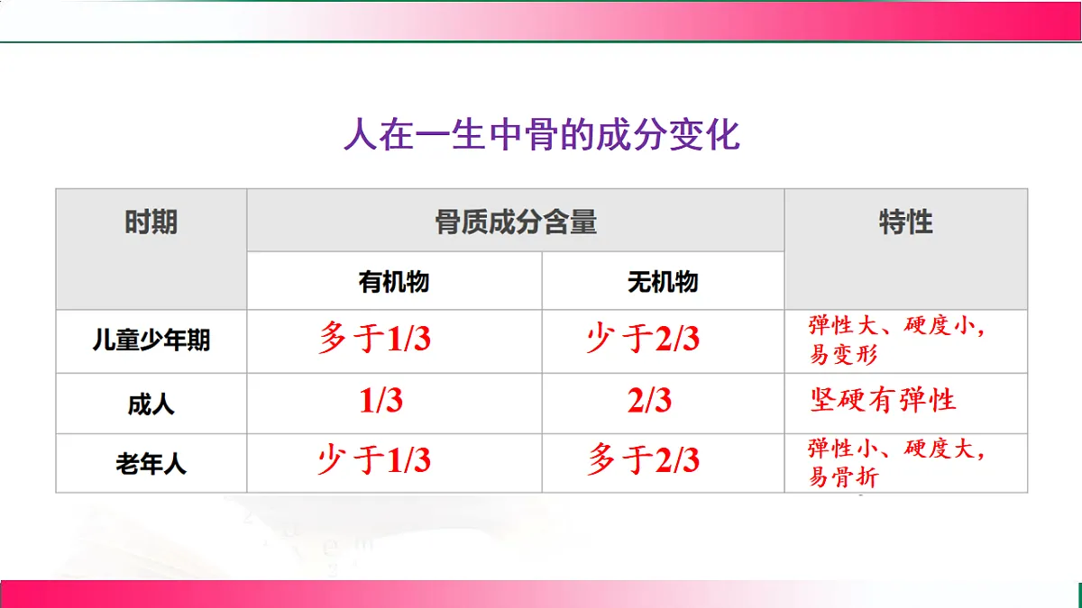 17778477第8页