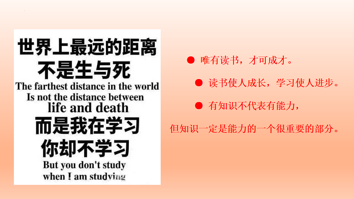 17779880第7页