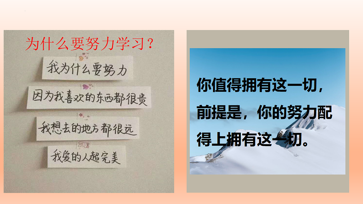 17779880第8页