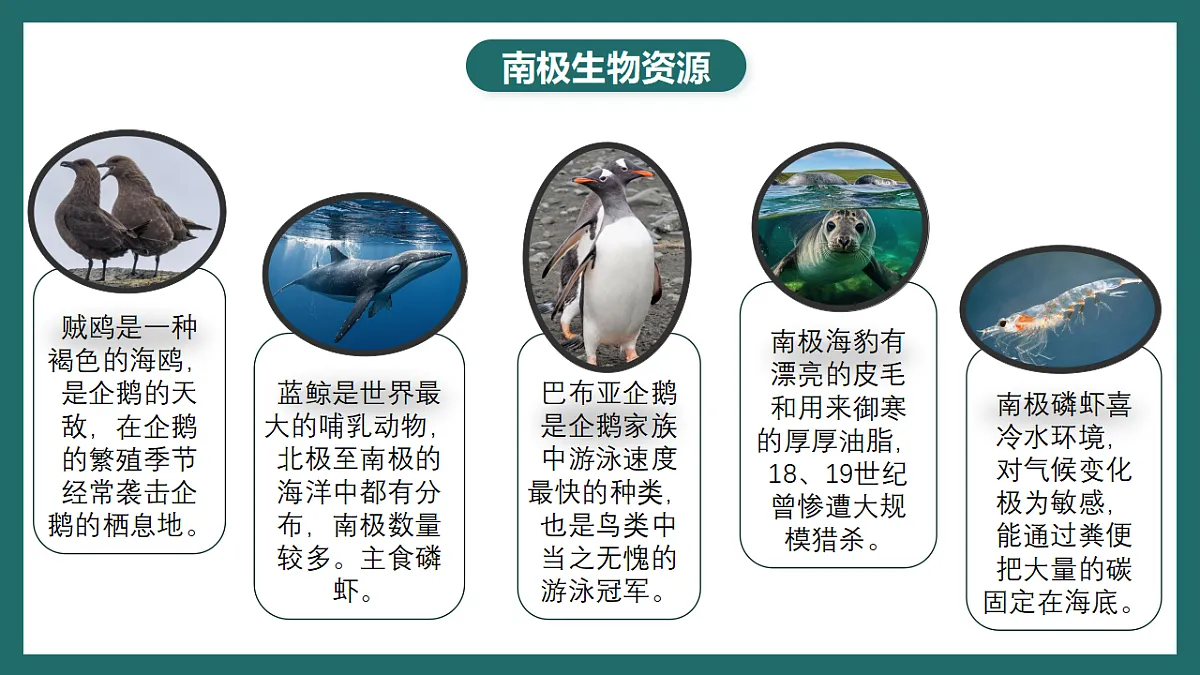 17780555第7页