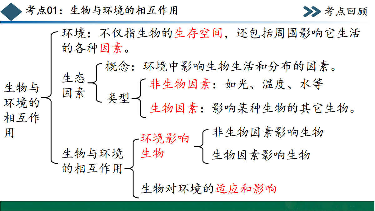 17780899第6页