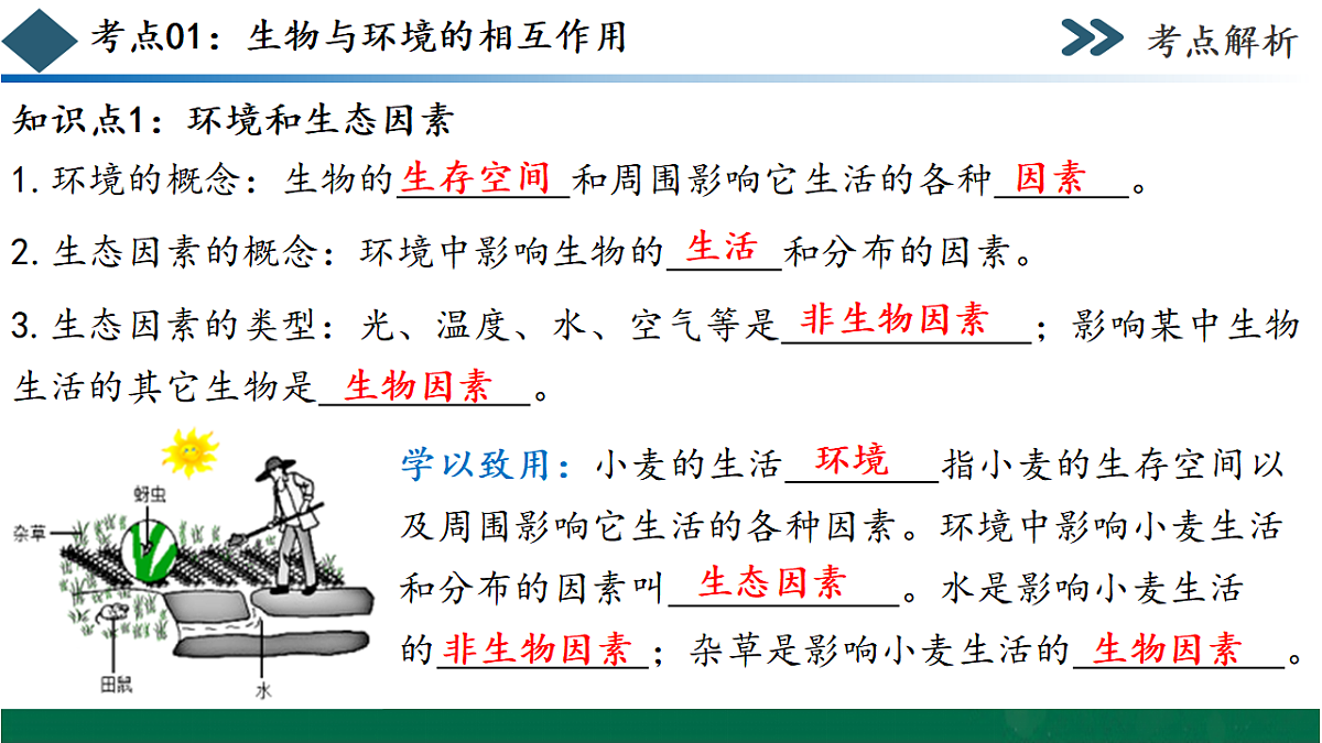 17780899第7页