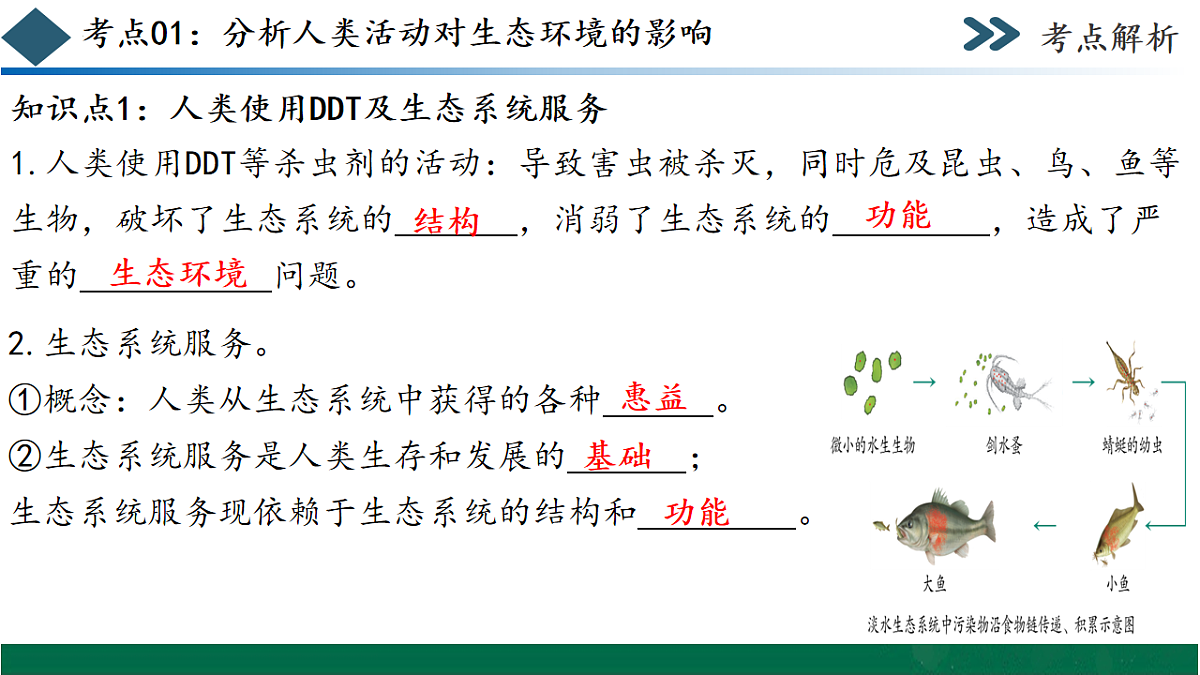 17780900第7页