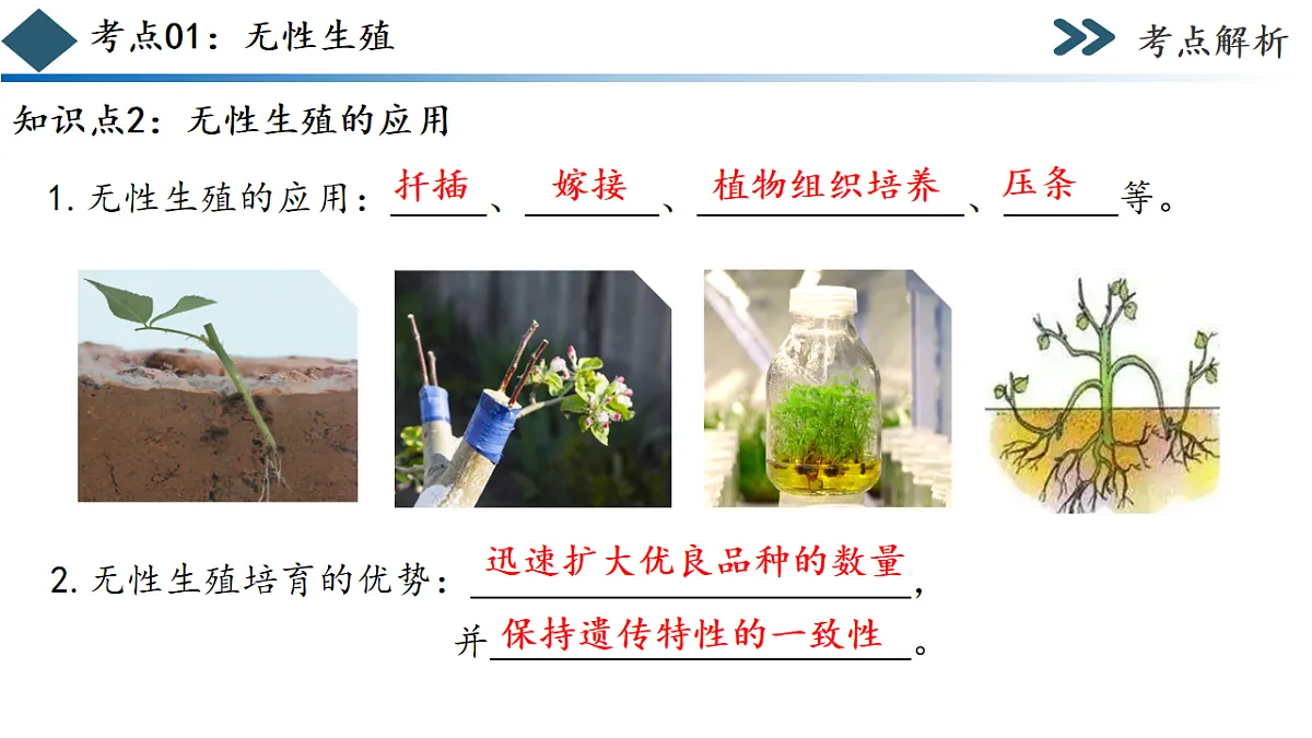 17780901第8页