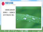 5《认识水》 课件-2024-2025学年科学一年级下册冀人版