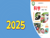 9《关爱行动》 课件-2024-2025学年科学一年级下册冀人版