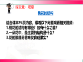 6.1.1.1 被子植物的生殖（一、有性生殖）2025-2026学年2024冀少版八年级生物下册教学同步课件