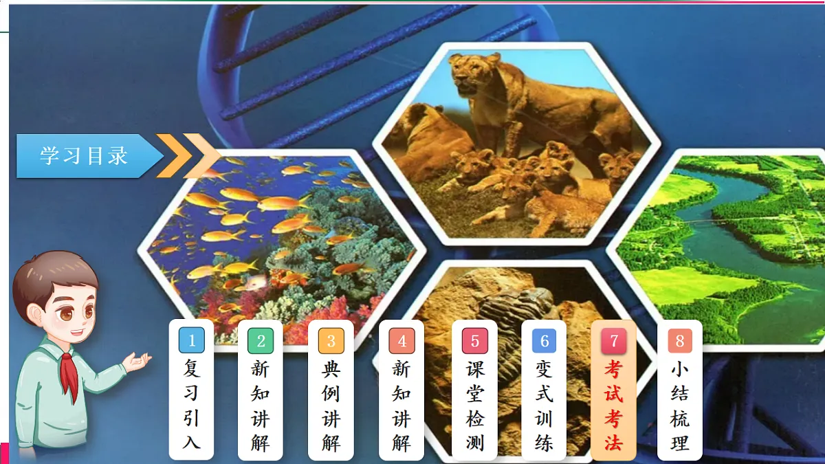 17781908第2页