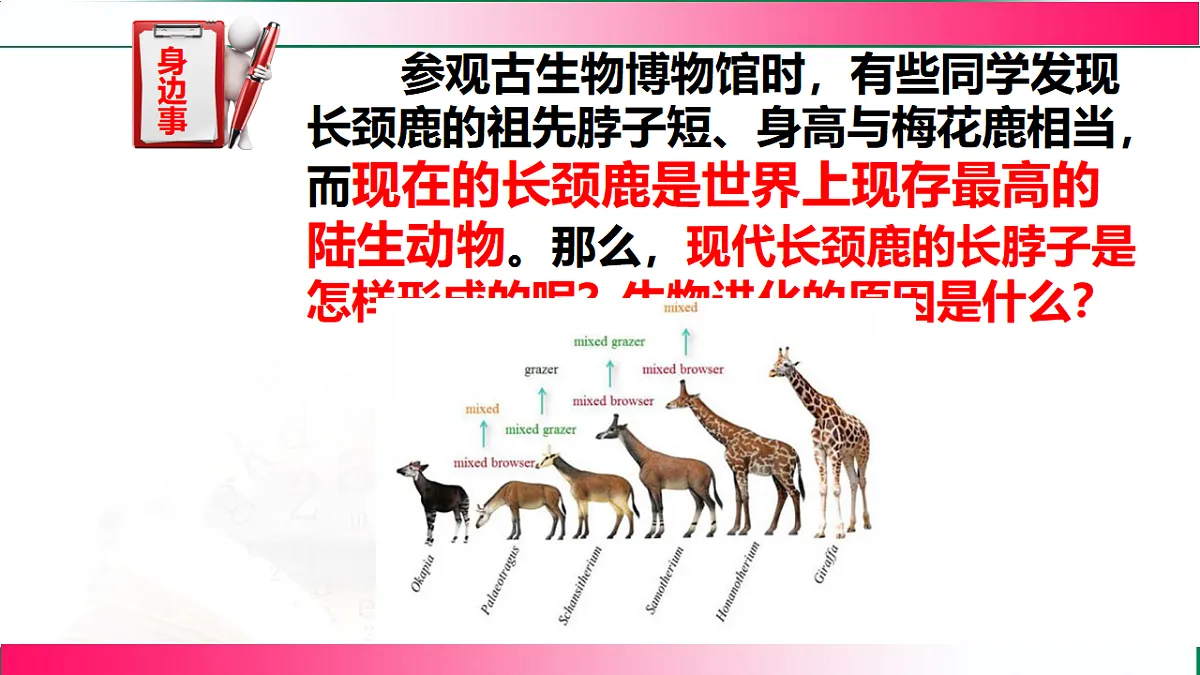 17781908第3页