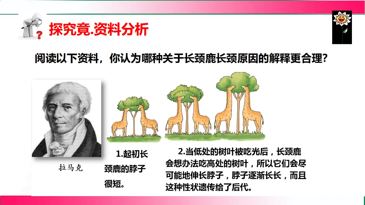 17781908第5页