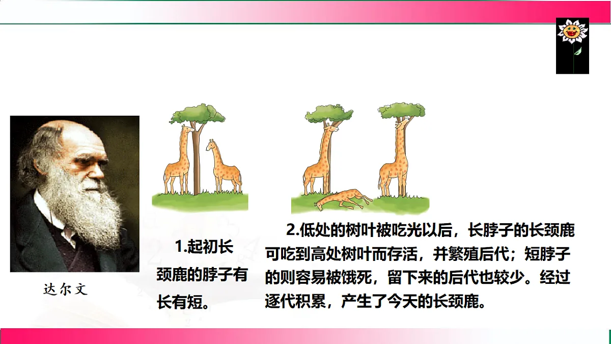 17781908第6页