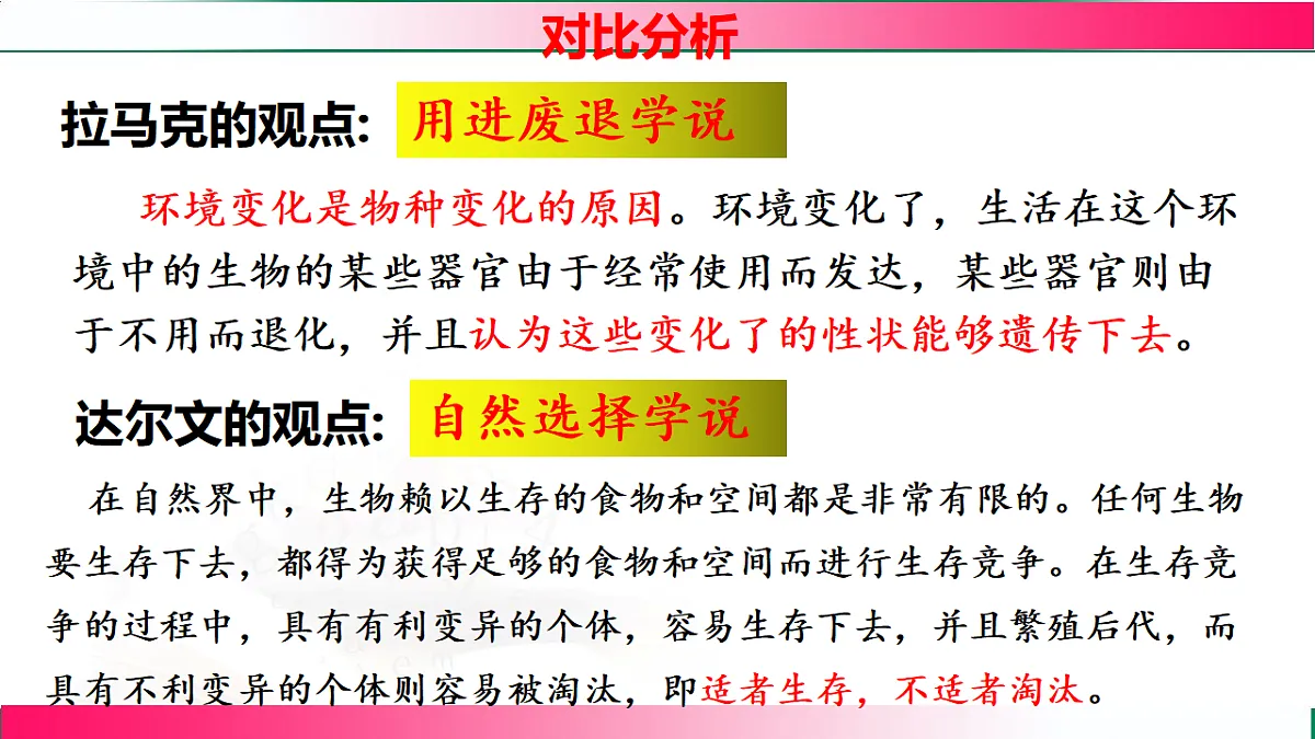 17781908第7页