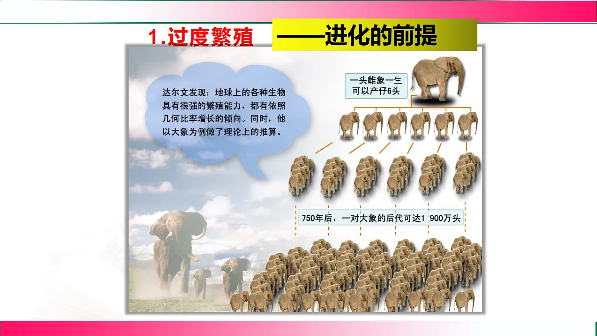 17781908第8页
