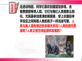 6.3.3 人类的起源2025-2026学年2024冀少版八年级生物下册教学同步课件