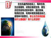 7.2.1 生态系统的组成和类型2025-2026学年2024冀少版八年级生物下册教学同步课件