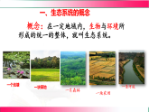 7.2.1 生态系统的组成和类型2025-2026学年2024冀少版八年级生物下册教学同步课件