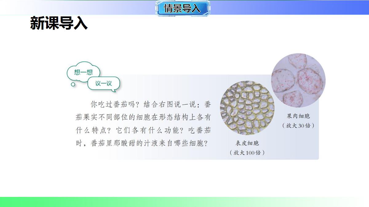 17781920第2页