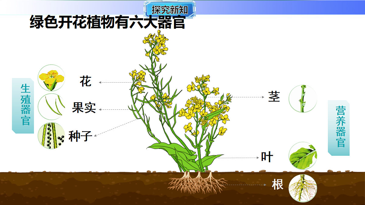 17781920第3页