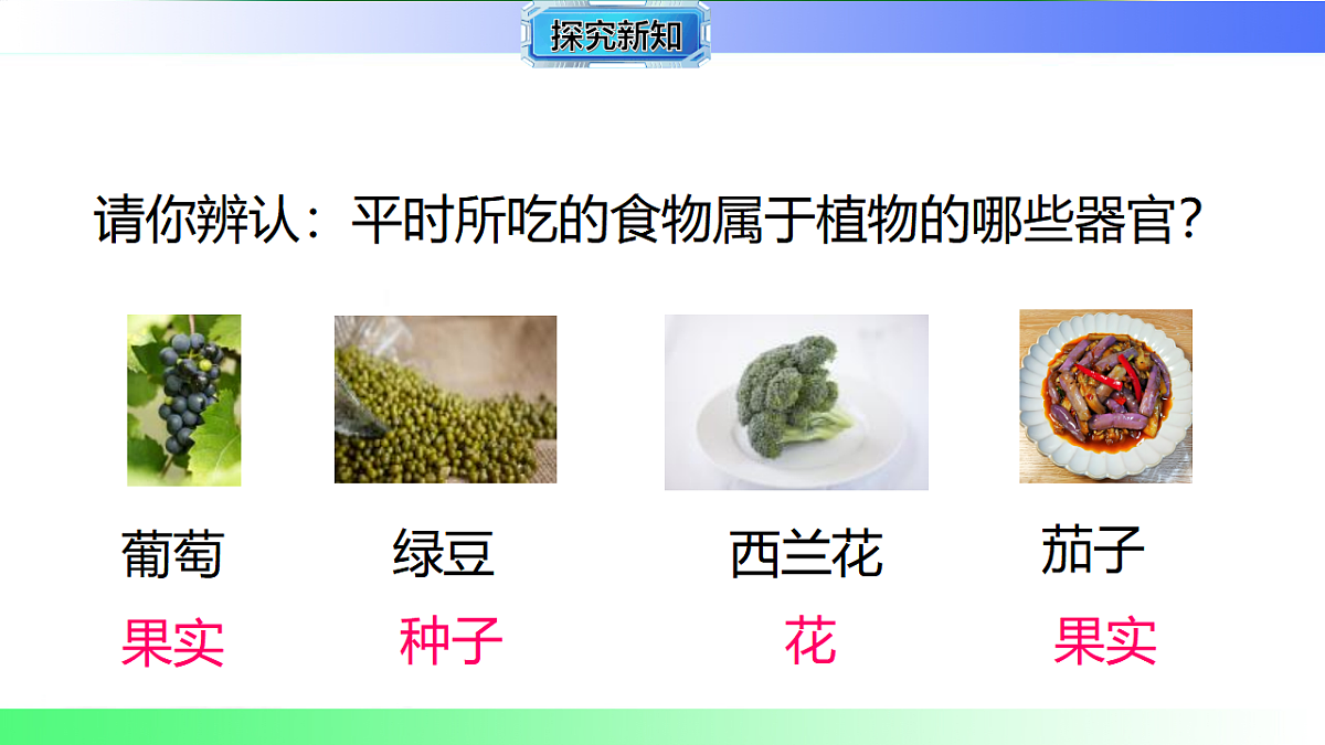 17781920第4页