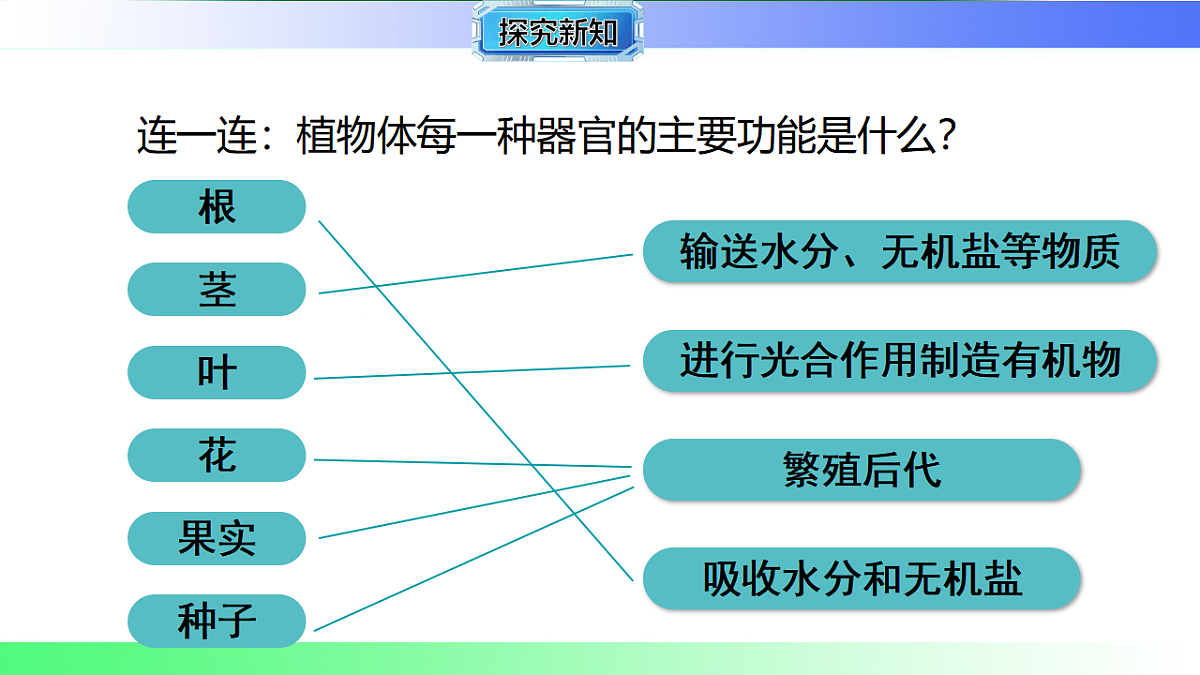 17781920第5页