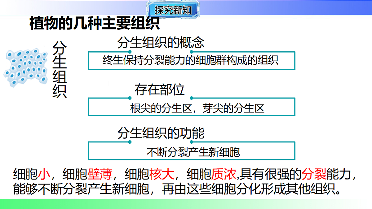 17781920第6页
