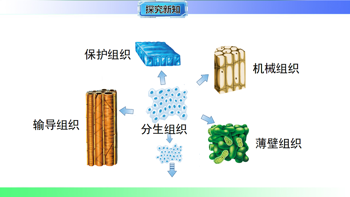 17781920第7页