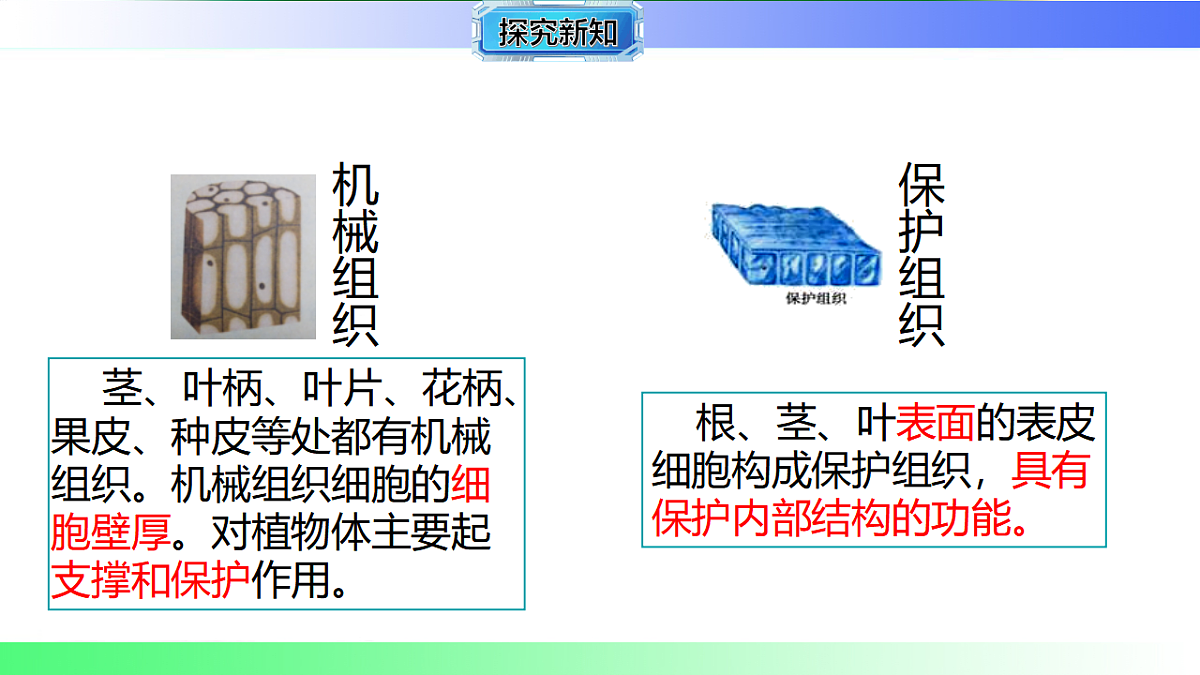 17781920第8页