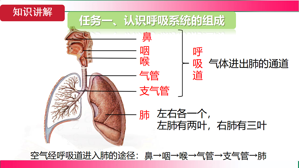 17781981第5页
