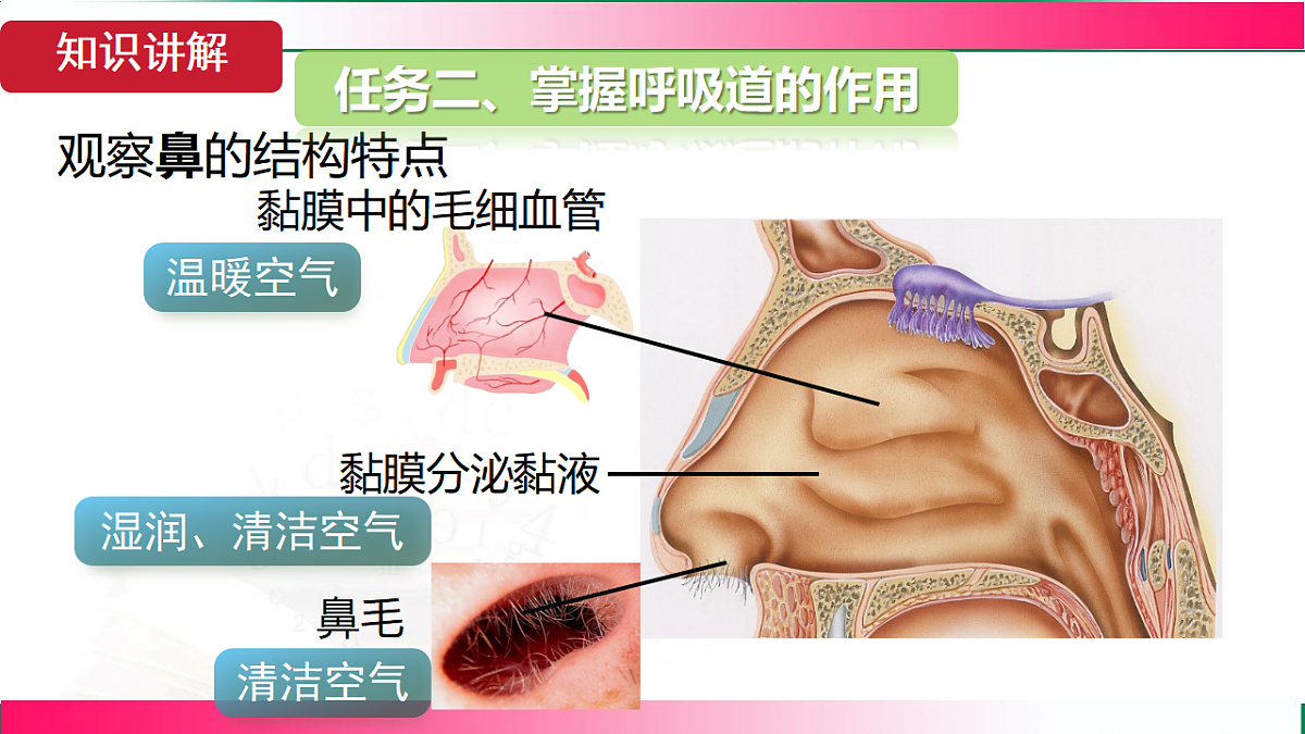 17781981第6页
