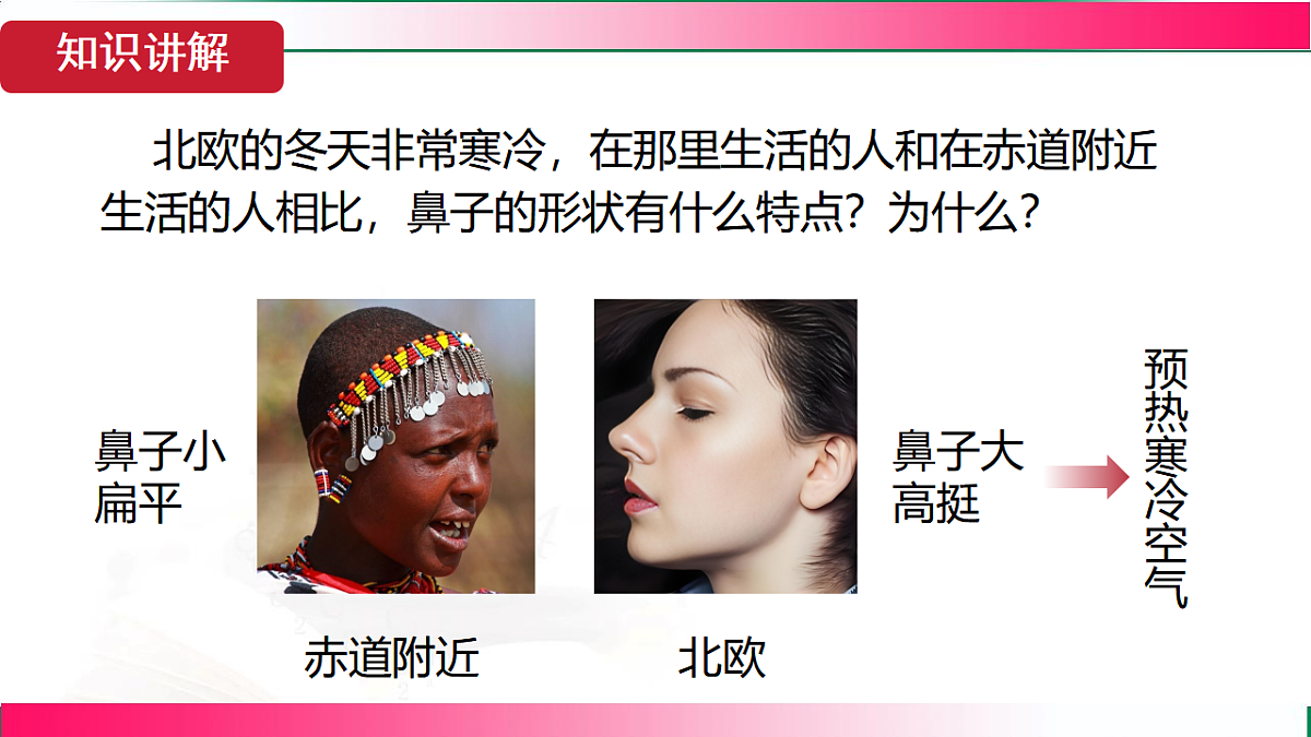 17781981第7页