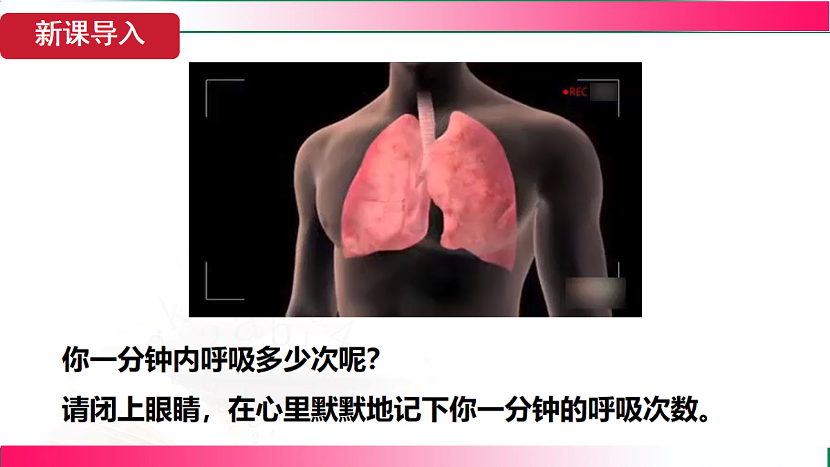17781982第4页