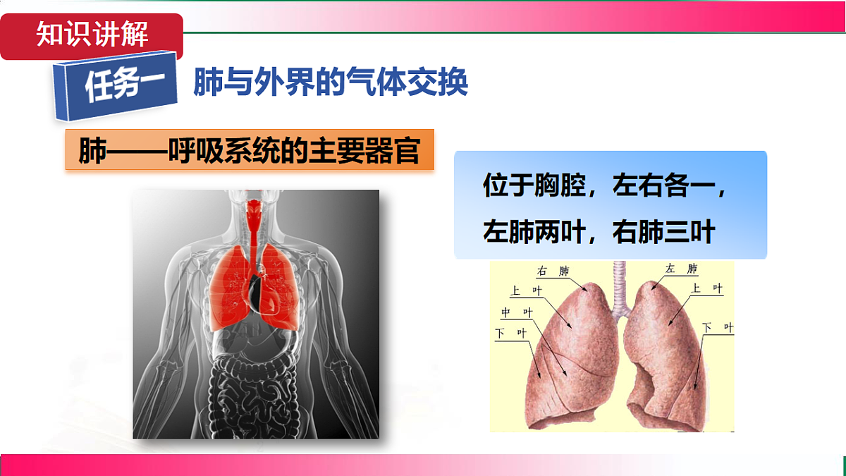 17781982第5页