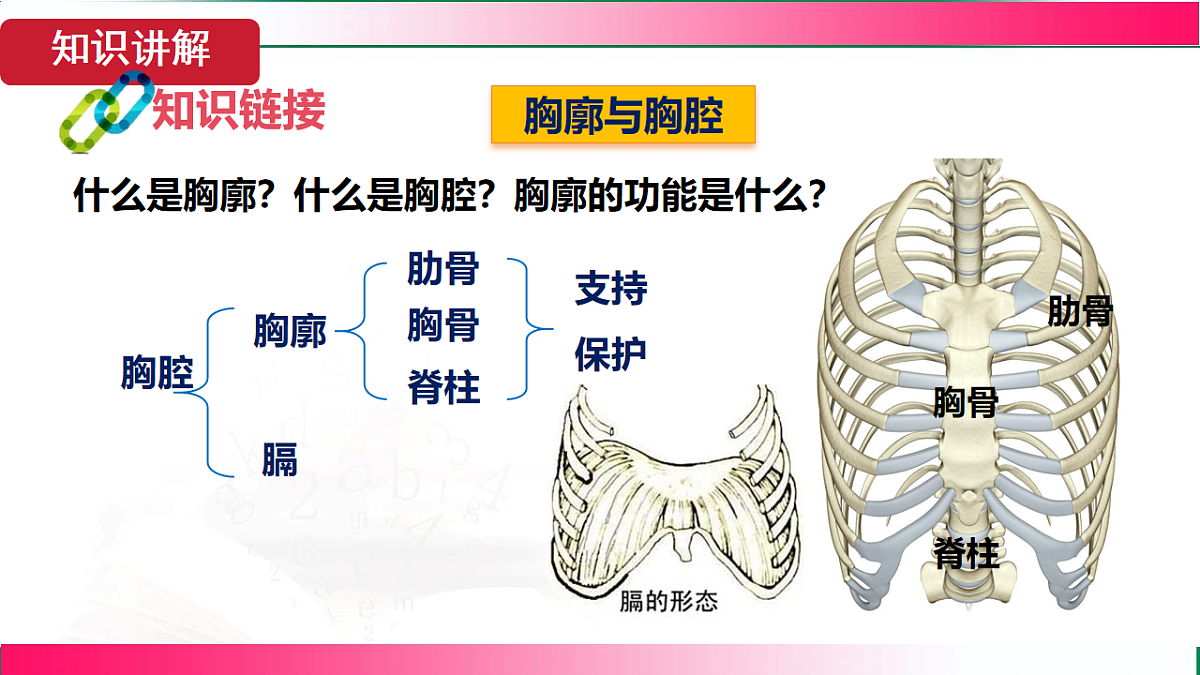 17781982第7页
