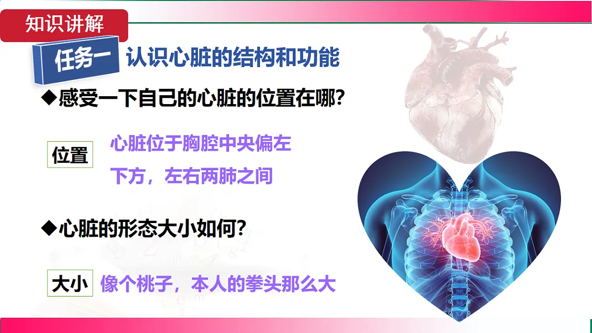 17781985第5页