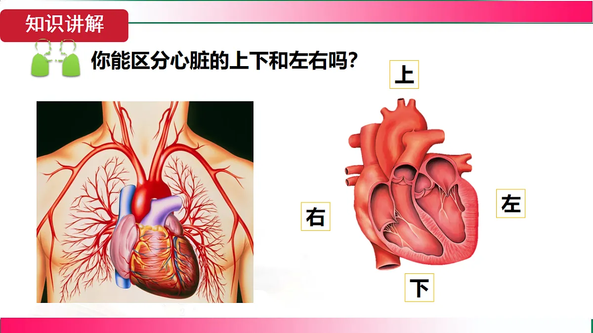 17781985第6页