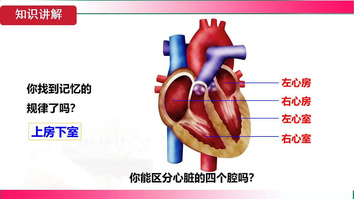 17781985第7页
