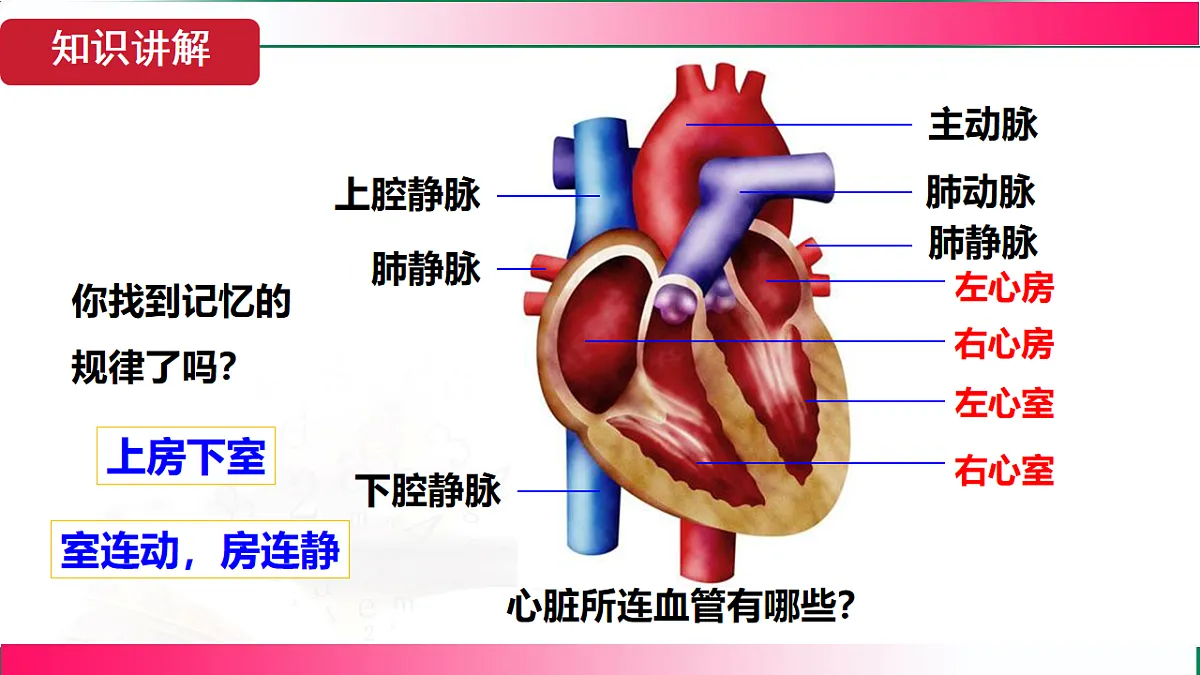 17781985第8页