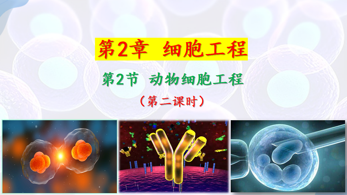17785163第1页