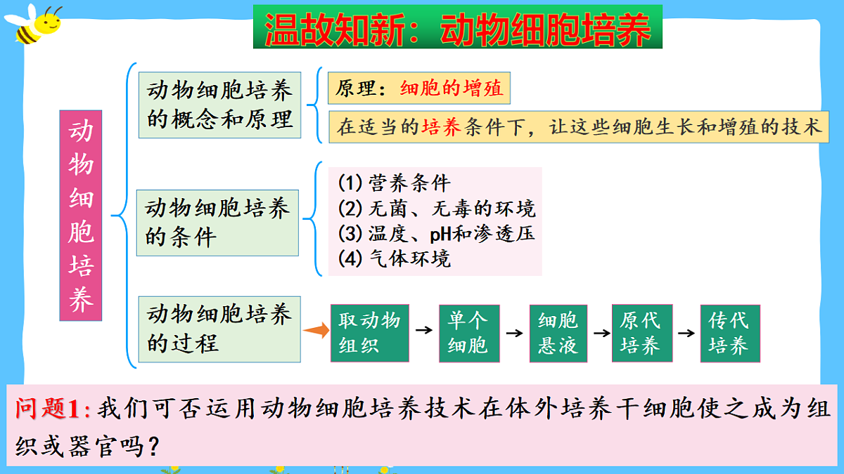 17785163第3页