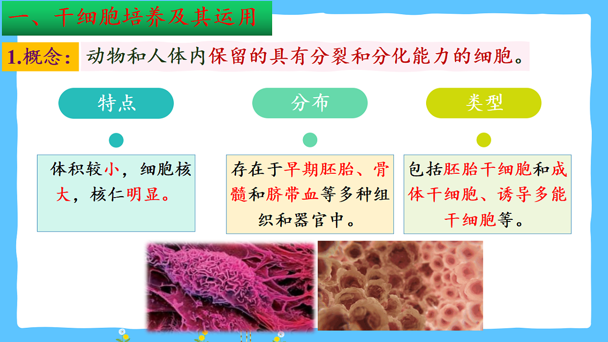 17785163第5页