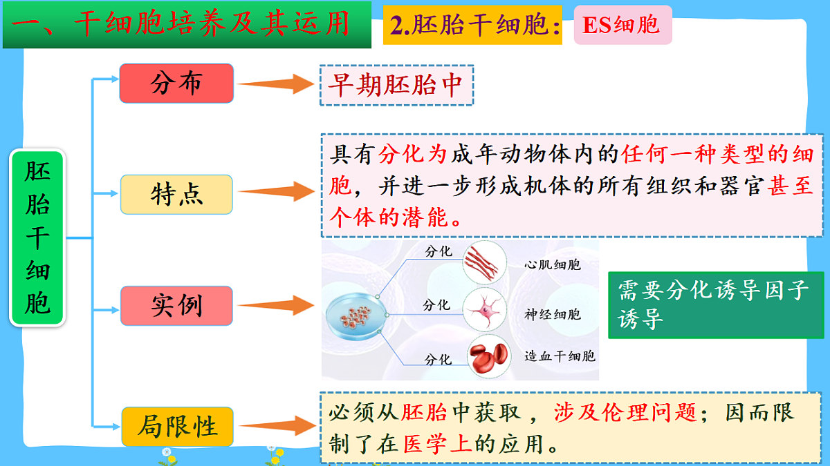 17785163第7页