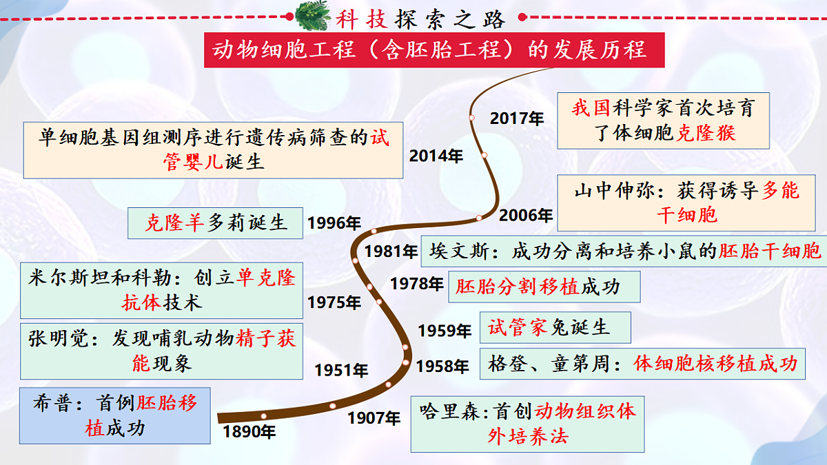 17785556第1页