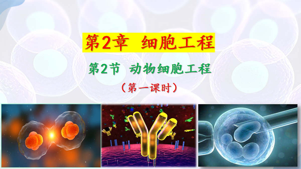 17785556第2页
