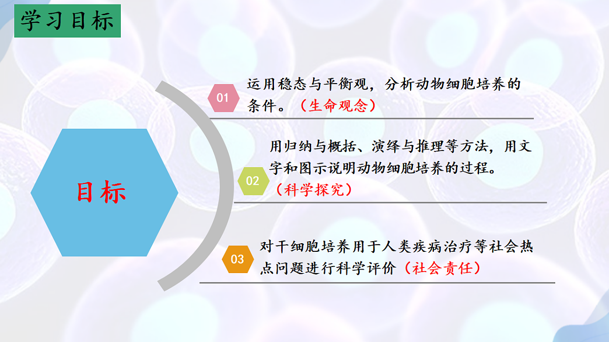17785556第3页