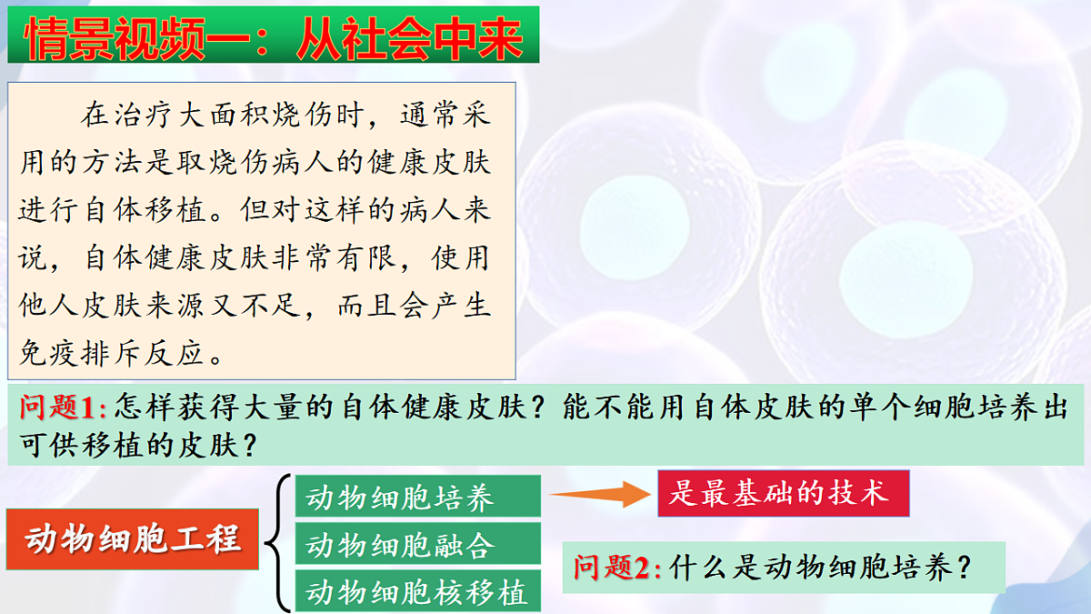17785556第4页