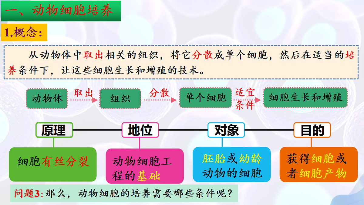 17785556第5页